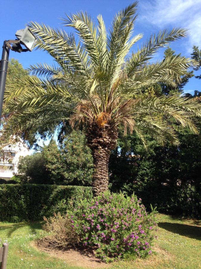 Eden Tropez Appartement *